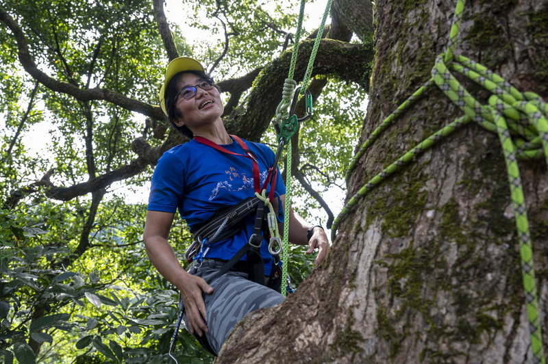 徐嘉君認為附生植物是觀察氣候變遷的重要指標，她經常爬上數十公尺高的樹冠層，年復一年觀察植物在不同的氣候下成長表現。（攝影／林彥廷）