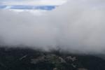 霧中變貌──台灣霧林帶在氣候變遷下的考驗