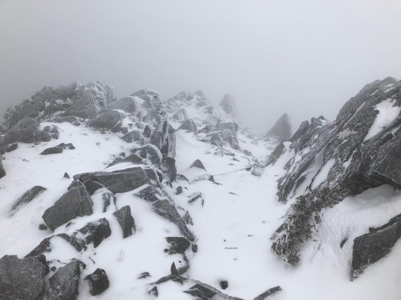 後疫情時代、登山、打卡、網路團、山域安全