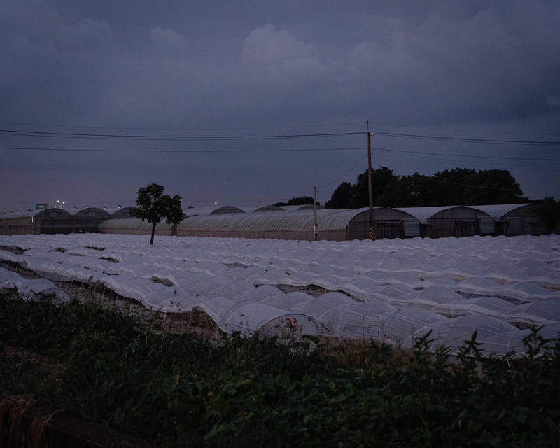 馬雨辰、農村、墓誌銘