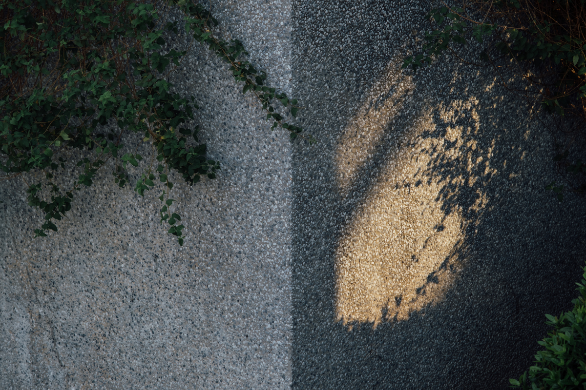 Re: [新聞] 獨家｜薛朝輝老婆400字聲明「相信老公清白