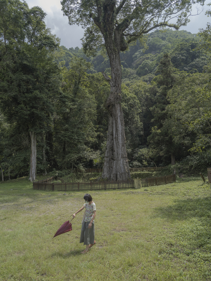 許震唐、神木、山水、記憶