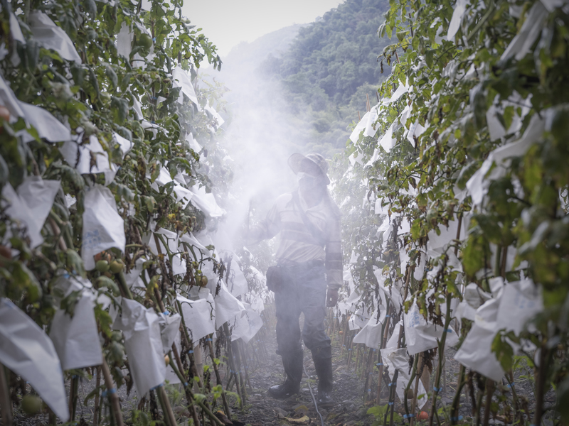 許震唐、神木、山水、記憶