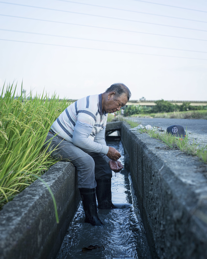 黃煌智、謝佩穎、陳宗怡、金玉善、流域、百姓、日常群像