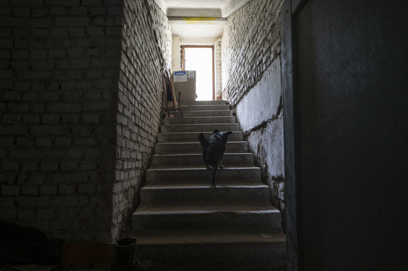 採訪尾聲，一隻村子裡的狗跟隨著村民的腳步，從陰暗的地下室離開。（攝影／楊子磊）