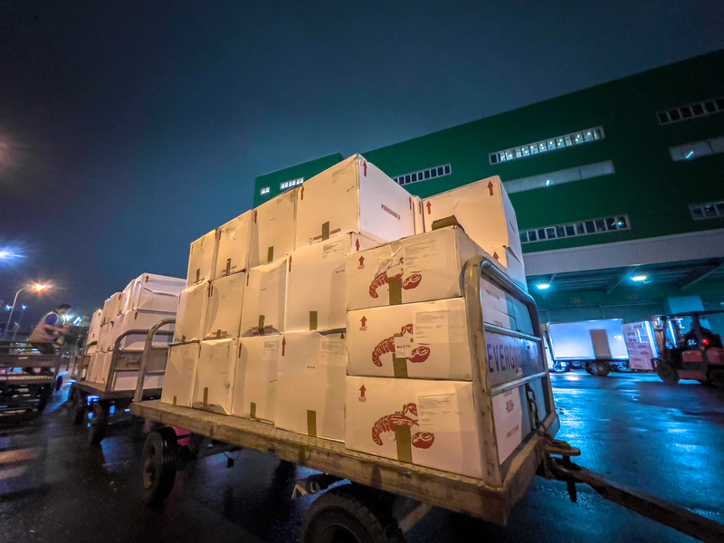 桃園機場貨運站外已通關的進口龍蝦，箱體上可見波士頓龍蝦的圖樣。（攝影／黃世澤）