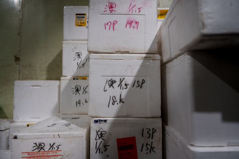 運送澳洲龍蝦的保麗龍箱，平均每箱可裝載約15～20公斤的活龍蝦。（攝影／黃世澤）
