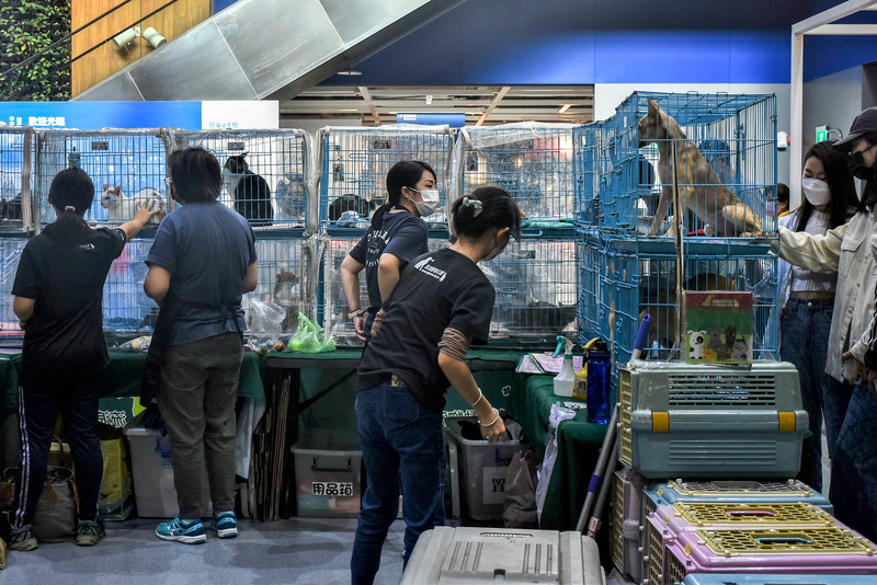 「流浪動物花園協會」週末時在具人潮的商場舉辦巡迴式的送養會。（攝影／李宜靜）