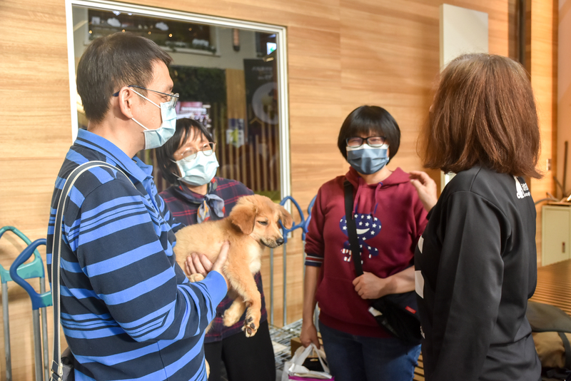 流浪動物花園協會透過送養活動，成功替流浪犬貓找到新家。（攝影／李宜靜）