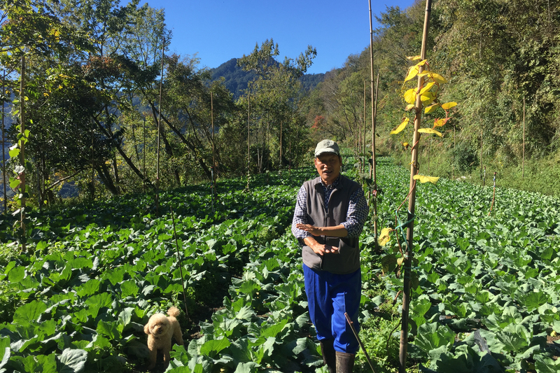 阿道長老這片平坦狹長的菜園上下，都是自然復育約20年的森林。謹慎地利用山坡地、保留林帶，這是鎮西堡正在推動的友善農法。（攝影／李根政）