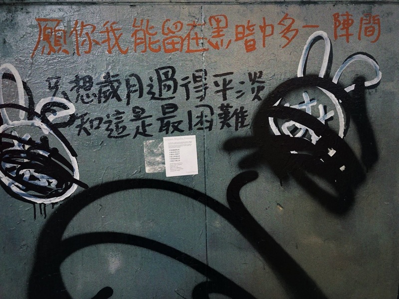 黃南瑋說，面對香港愈來愈收窄的空間，她覺得「還是要試試紅線在哪裡，不要恐懼『恐懼』本身」。（圖片提供／受訪者）