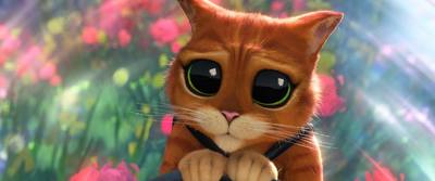 王子榮／從《鞋貓劍客2》看現行法律中的「毛小孩」