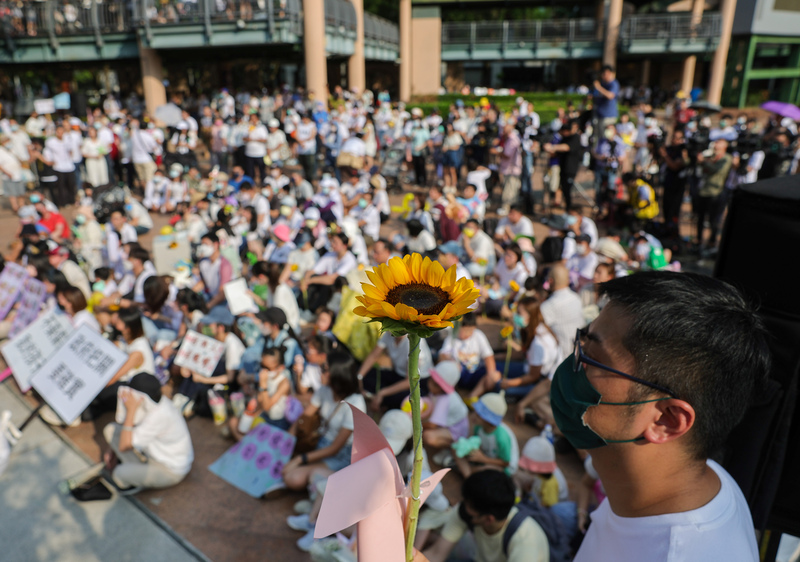 6月18日下午，新北市逾千人響應「不藥傷害我的孩子」集會活動，與會者手持向日葵呼籲政府守護兒童安全。（攝影／中央社／裴禛） 