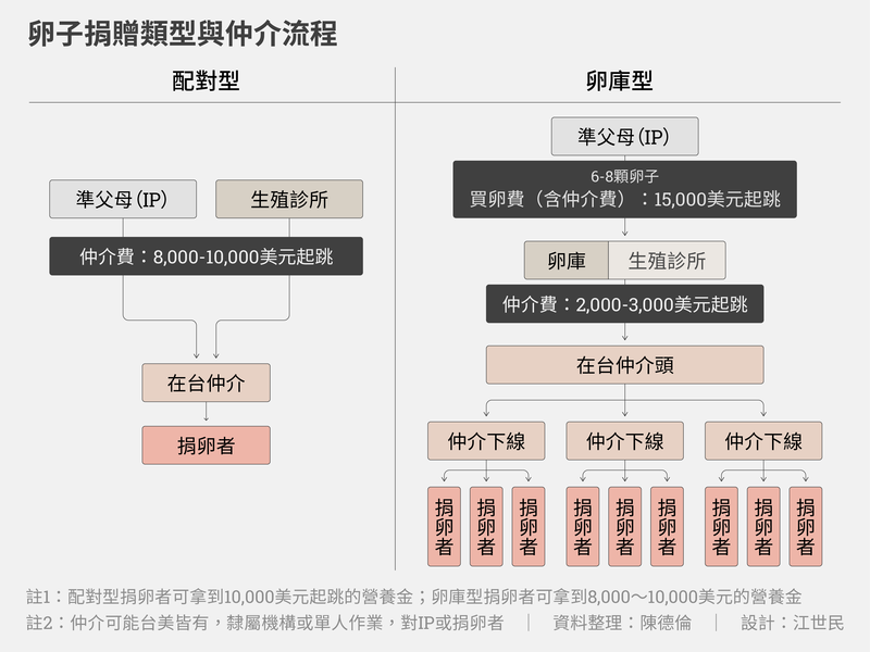 捐卵、卵庫、仲介、準父母、人工生殖