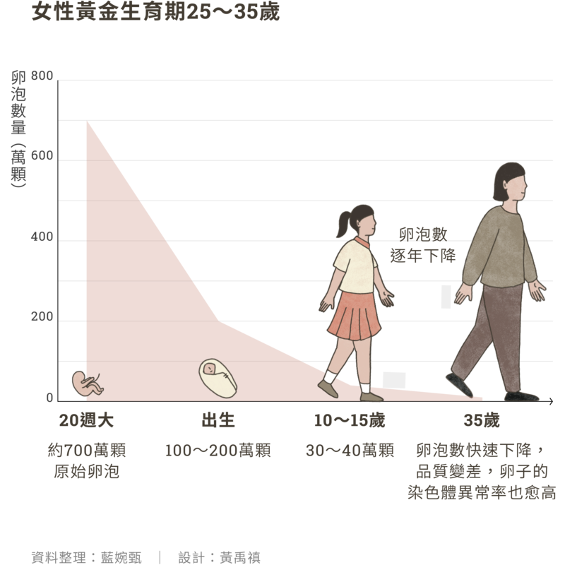 捐卵、月經、女性、週期