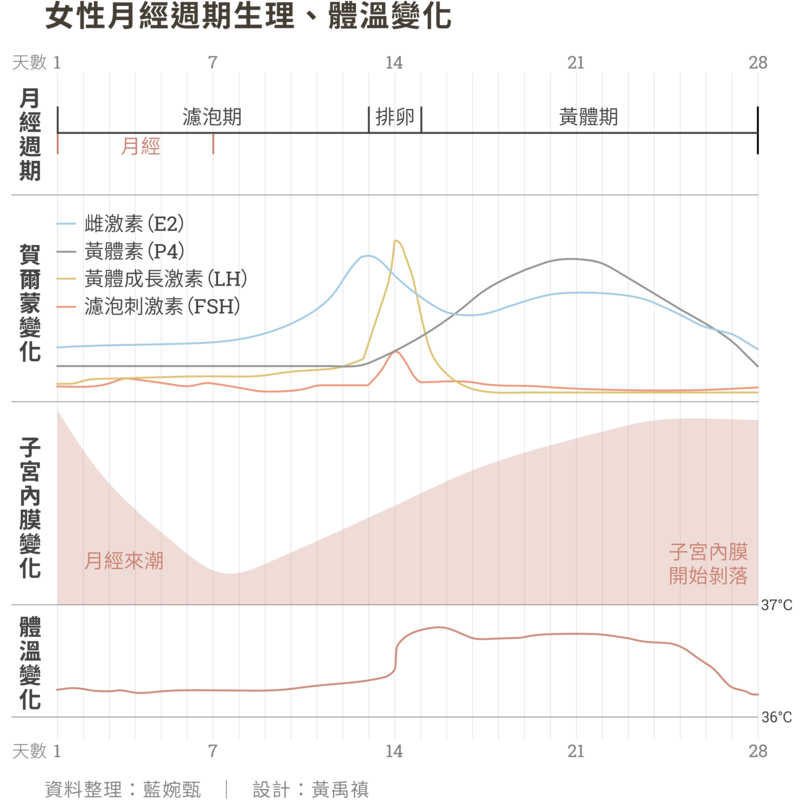 女性、月經、荷爾蒙、體溫、卵子、捐卵、凍卵