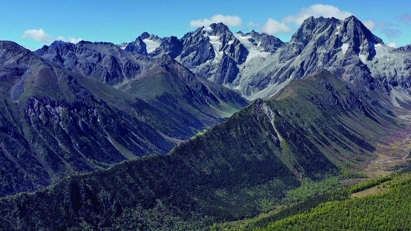 鏡中山脈的祕密：台灣高山上，橫斷山後代守護萬年的生物記憶