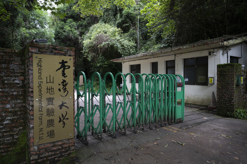 台大山地實驗農場山前身是日治時期台北帝國大學霧社山地農場，戰後被台大接收、使用。圖為梅峰本場大門。（攝影／楊子磊）