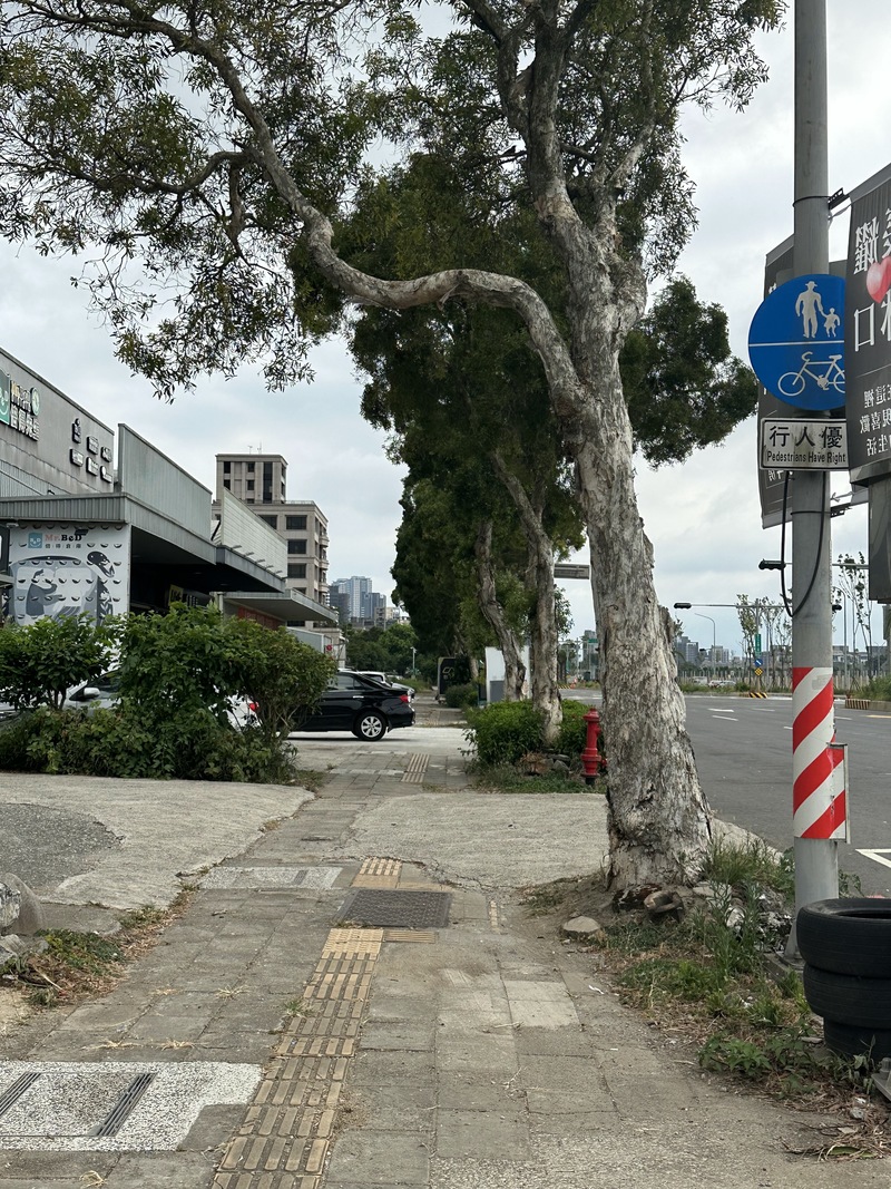 圖1：新北市林口區文化北路某區段行人與腳踏車共用道路，路面極不平坦。（攝影／吳昀庭）