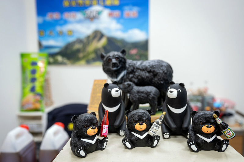 台灣黑熊因可愛形象廣受民眾歡迎，甚至上升到國家認同層次，雖有助於保育，但對於可能有人熊衝突產生的地方卻是兩面刃。圖為保七總隊辦公室中的黑熊公仔。（攝影／林彥廷）
