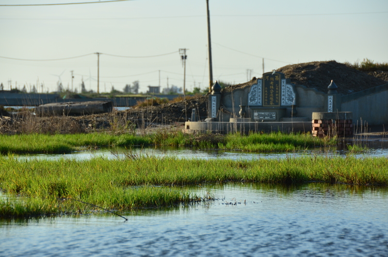 林珮甄、成龍溼地、海平面