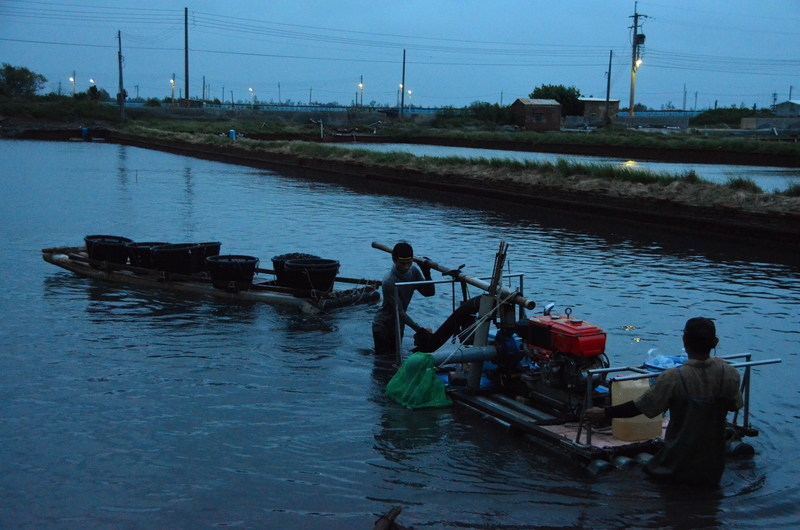 林珮甄、成龍溼地、海平面