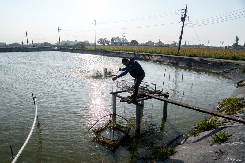 變局的漁電共生──300多公頃「非法魚塭」成光電地雷