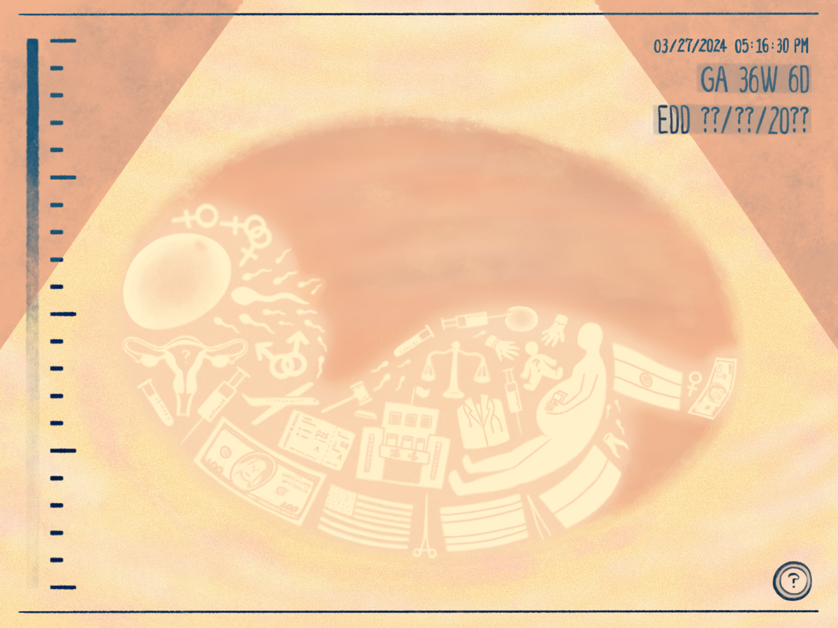 人工生殖法》十問：為何代孕吵30年沒結論？單身女、女同志可否做試管嬰兒？ - 報導者The Reporter