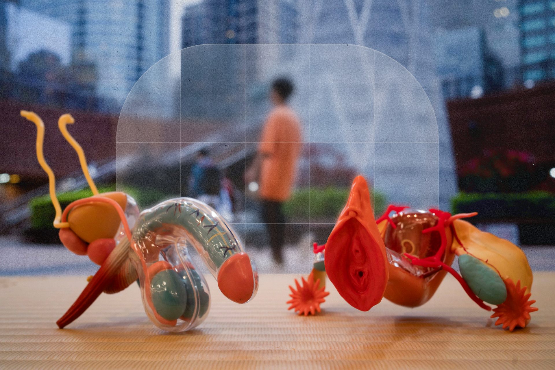 (攝影/楊子磊;設計/江世民)