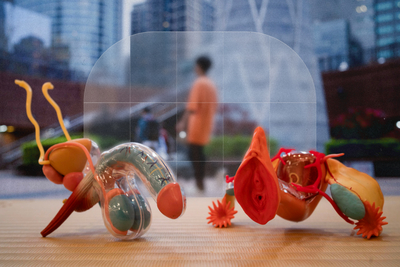 青春與疾病的拉鋸戰:淋病、梅毒年齡下探,誰讓孩子成了高風險者?