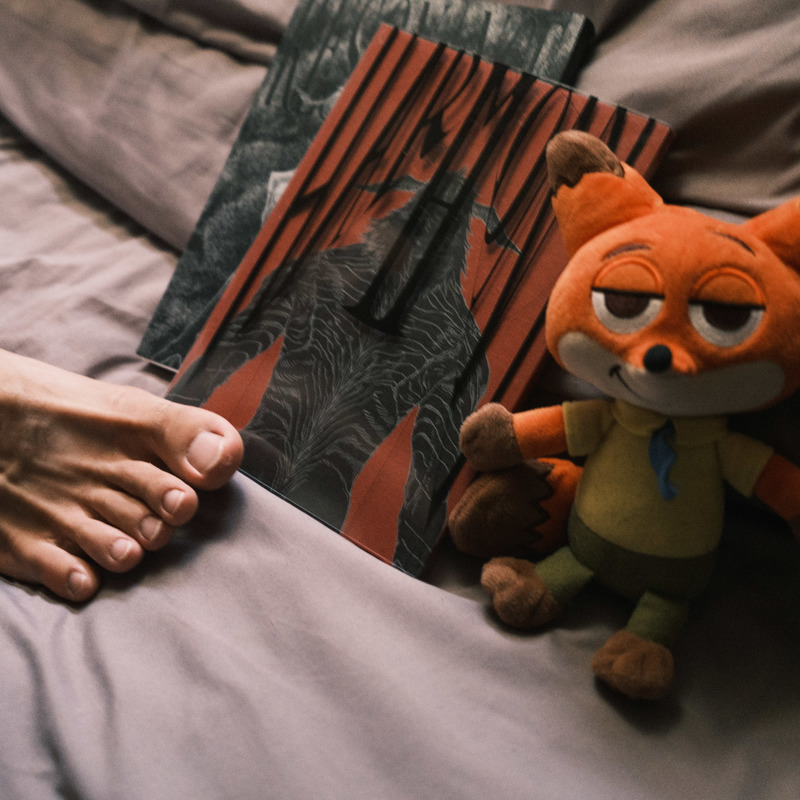 床上擺著電影《動物方程式》(Zootopia)的狐狸娃娃尼克(Nick),小瑋說自己像尼克,「大家覺得狐狸是壞人,他只好繼續當壞人。」(攝影/唐佐欣)