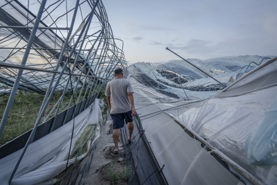 接連風災重擊嘉義瓜果溫室──政府重建補助創新高，為何復耕之路仍迢遙？