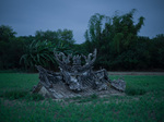 沈裕融／時延的顯影術：從Photo ONE參選作品，看見記憶、場域與媒介的潛像