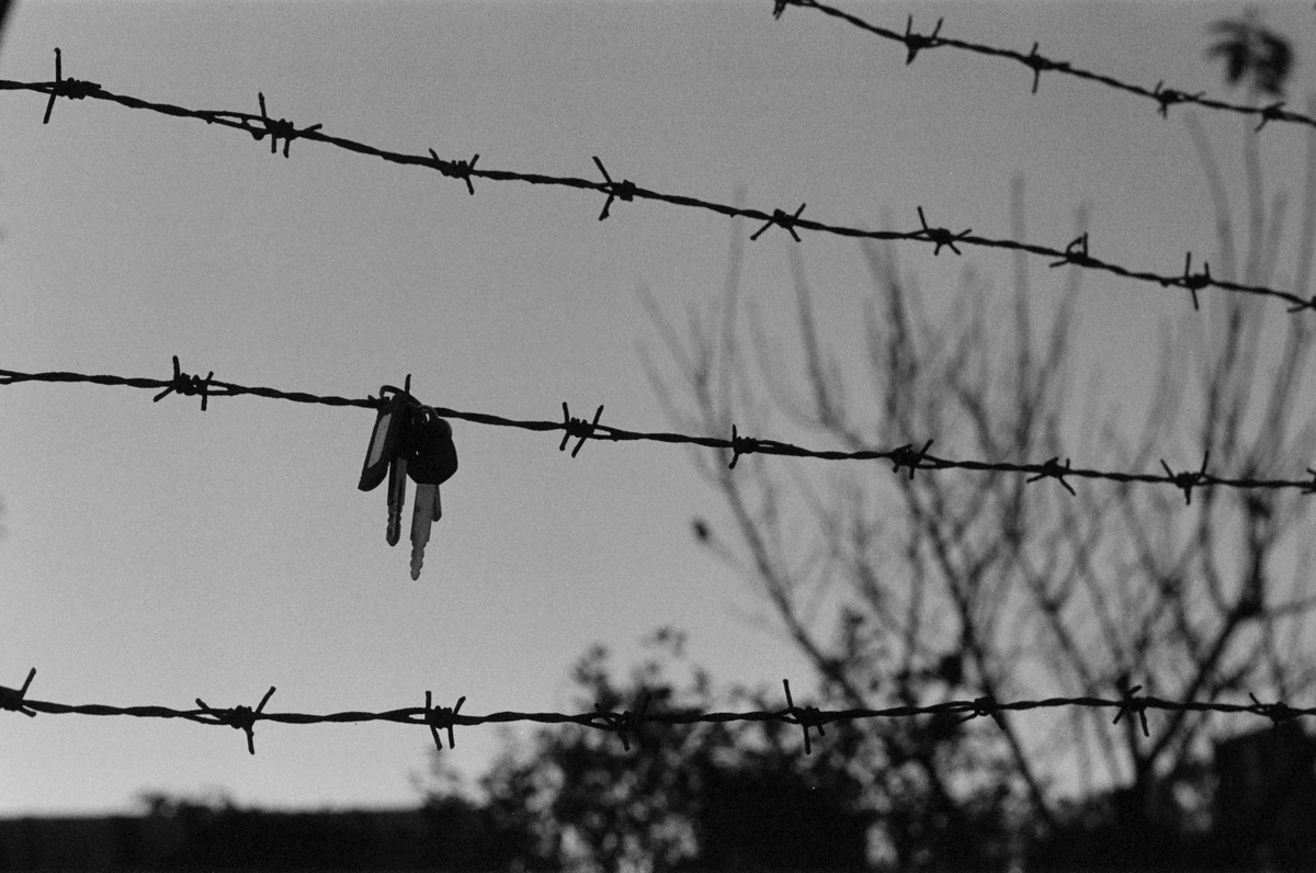 落空的守望：當自殺關懷訪視受限困阻，遺族支持何以為繼？ - 報導者 The Reporter