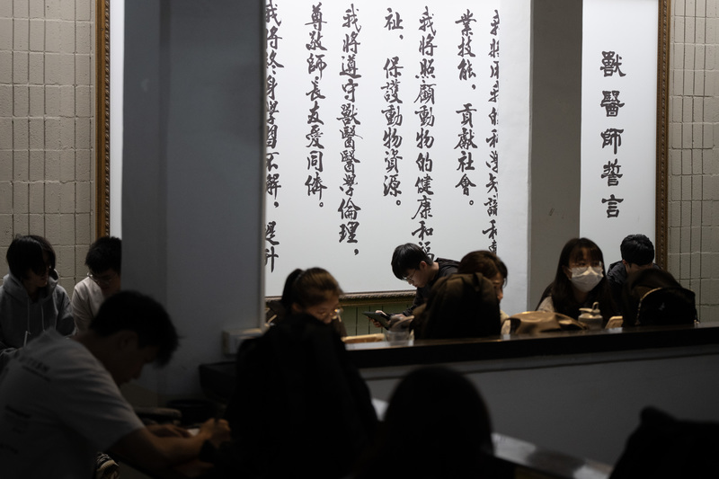 目前培育經濟動物獸醫師最多的屏東科技大學,是全台唯一設有「豬專科訓練」的學校。圖為期中考期間獸醫學系的學生們在系館自習。(攝影/楊子磊)