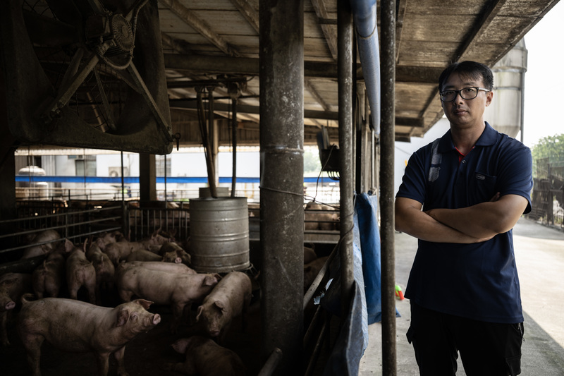吳瑞仁是農二代,父親從他4歲時開始養豬,今年已是吳瑞仁接手家業的第6年,他認為從業3~5年大致能熟稔豬隻疾病特性。(攝影/楊子磊)