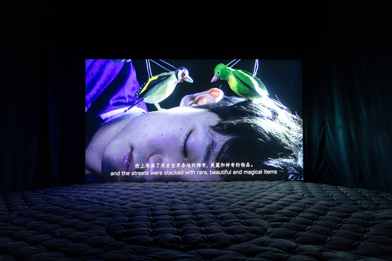 高田冬彦，《公主與魔鳥》，2021／2025，單頻道錄像，Full HD，鳥籠，18分鐘，循環播放，尺寸依空間而定 © Fuyuhiko TAKATA，藝術家及WAITINGROOM版權所有。（攝影／呂國瑋／台北市立美術館）