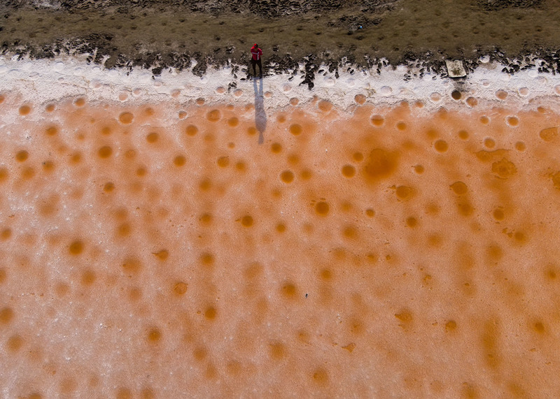 鹽田，台南市，2021。（攝影／葉陶軒）