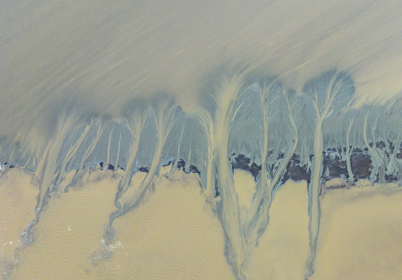 陳佩甄／「水有完美的記憶力」：《餵魂》與華裔三代的感覺結構