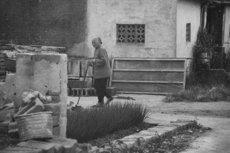 戰後,人們在建築廢墟中種菜、養牛。花崗岩、紅磚、白牆不復在,重建的是蒼白的水泥牆、水泥花磚。在建築廢墟中開闢的小菜園,用簡易水泥磚重修的傳統建築,是戰後求生的印記。照片攝於1992年,古寧頭下店。(攝影/李根政),