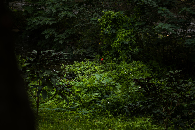 林政宏為了追尋心中的「療癒師」之夢不幸死去，但在親朋好友的追憶中，他仍是那個單純、善良、熱愛自然萬物的大男孩。（攝影／黃世澤）