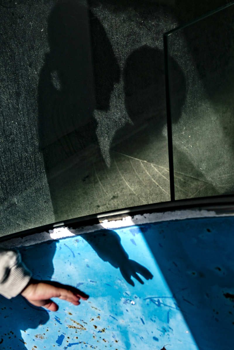 精卵捐贈子女的身世、告知與追尋