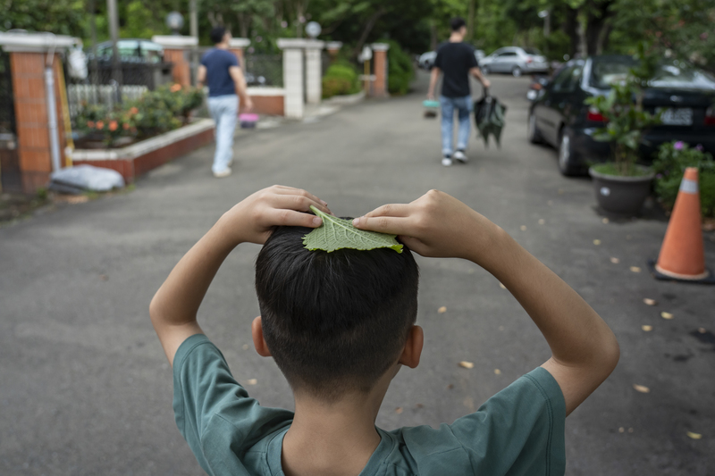 熱愛大自然的飛海,對各類昆蟲如數家珍,家裡有許多昆蟲觀察飼養箱。採訪這天,他們全家一起到住家附近的溪畔放生孵化後的獨角仙與羽化的鳳蝶。(攝影/陳曉威)