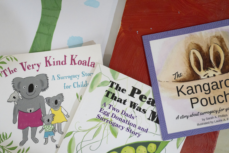 飛海出生前,Sean就已著手準備身世告知。圖為他從網路上購買,或從美國帶回的身世告知繪本。(攝影/陳曉威)