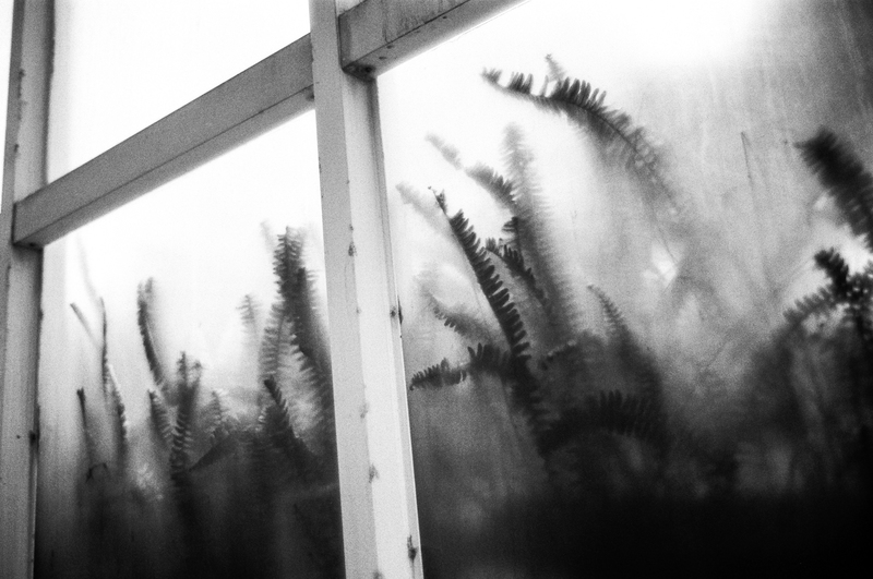 （攝影／黃世澤）