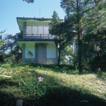 《山林之眼》：森林瞭望台循跡，拾起台灣林業史的失落拼圖