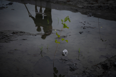 生命河流轉了彎──中繼屋裡過新年,花蓮光復災民盼在淤泥中種回希望