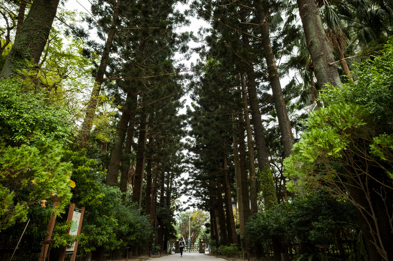 台北植物園往博愛路方向的出口,在1947年3月曾是橫屍遍地的屠殺現場。(攝影/黃世澤)