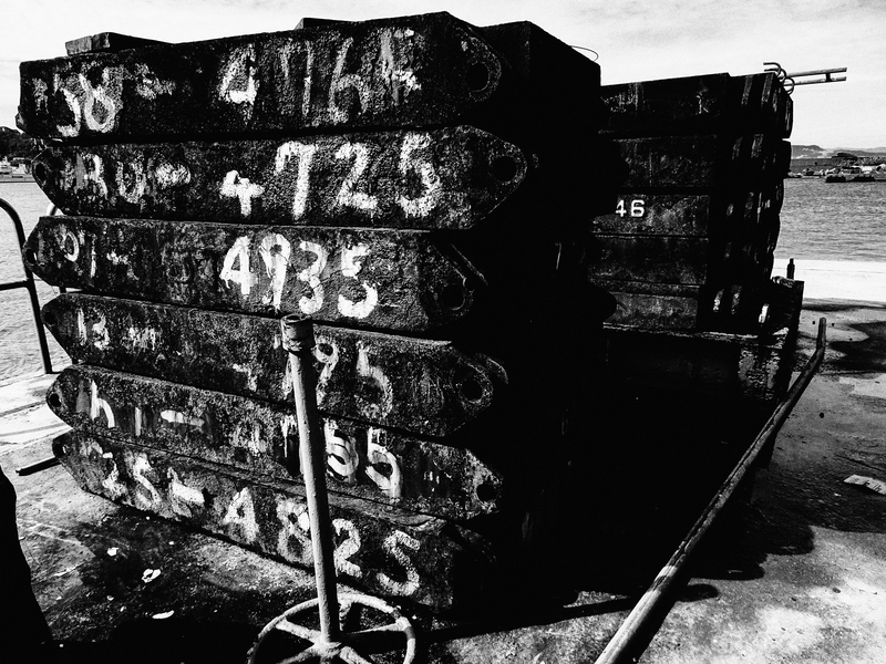 （攝影／賴東序）