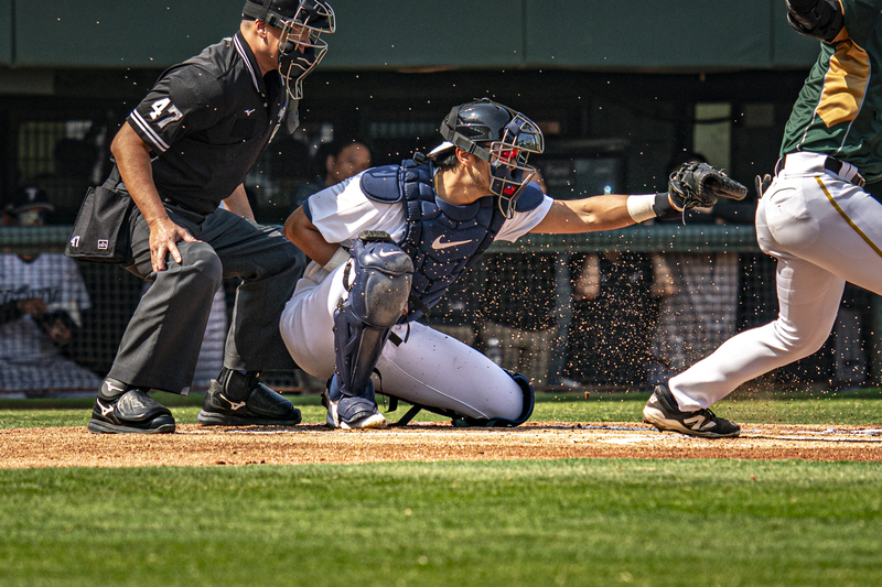 2026年2月13日，WBC台灣隊與台鋼雄鷹隊在高雄澄清湖棒球場的練習賽中，林家正擔任先發捕手，以單膝跪地捕姿接球。（攝影／陳曉威）